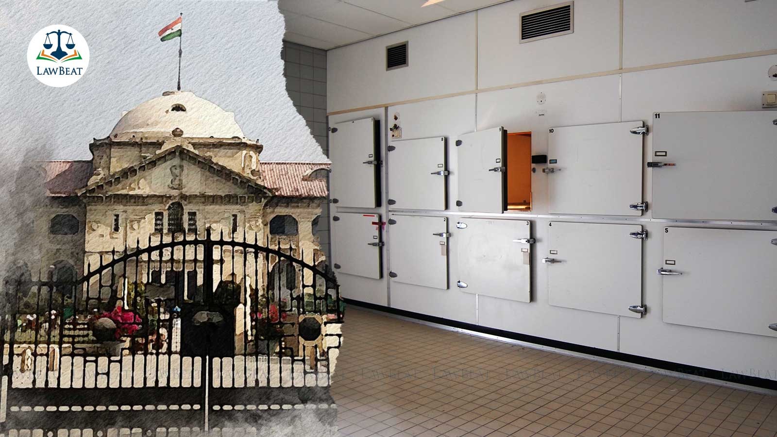 Woman’s Skeleton in Morgue for 3 Yrs: Allahabad HC Takes Suo Motu Cognizance, Seeks Govt Report Woman’s Skeleton in Morgue for 3 Yrs: Allahabad HC Takes Suo Motu Cognizance, Seeks Govt Report